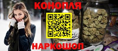 сатива Бийск