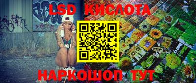 сатива Бийск