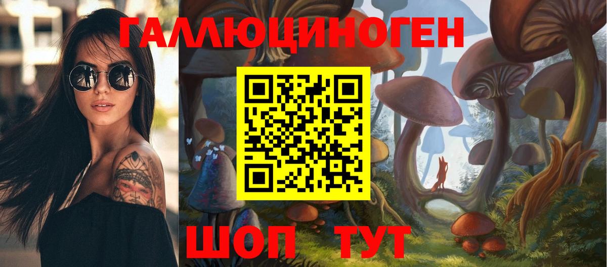 Выборг  даркнет сайт  Вход с VPN  Галлюциногенные грибы Cubensis  Псилоцибиновые грибы мицелий 